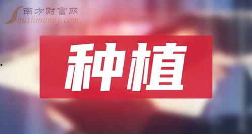 平江最新爆料新闻报道图片,揭秘事件背后惊人真相  第3张