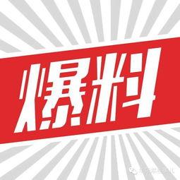 湛江遂溪头条最新爆料,揭秘重大事件真相！  第3张